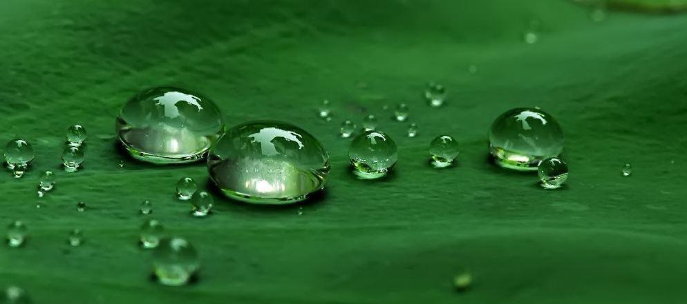 Hydrophobic Phase Collapse