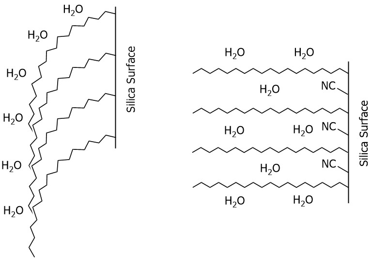 Hydrophobic Phase Collapse1