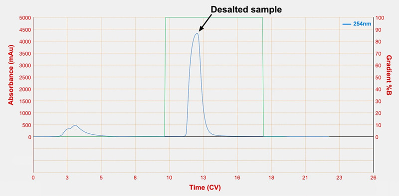 Hydrophobic Phase Collapse3
